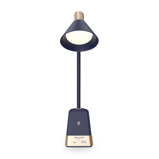 LED Desk Lamp