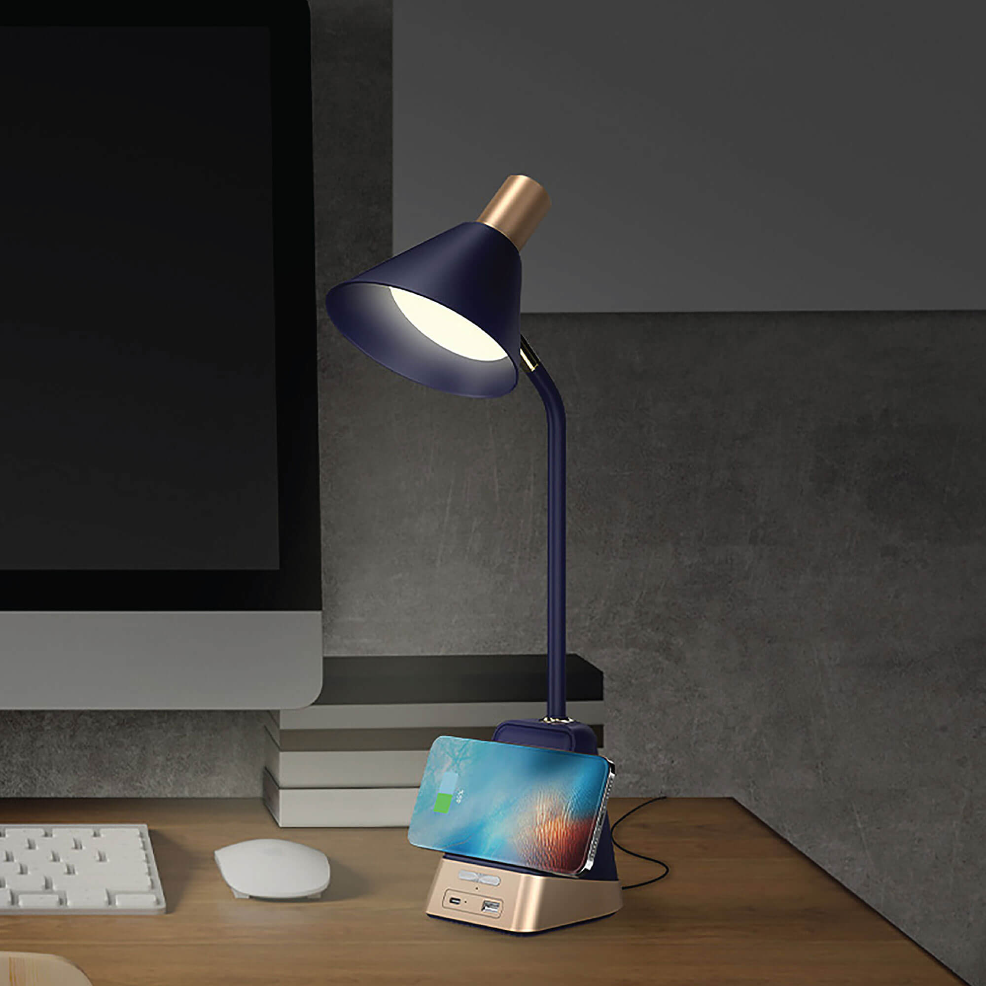 James LED Desk Lamp