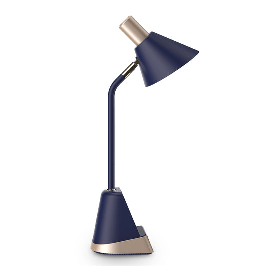 LED Desk Lamp
