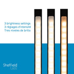 Minimalist LED Desk Lamp