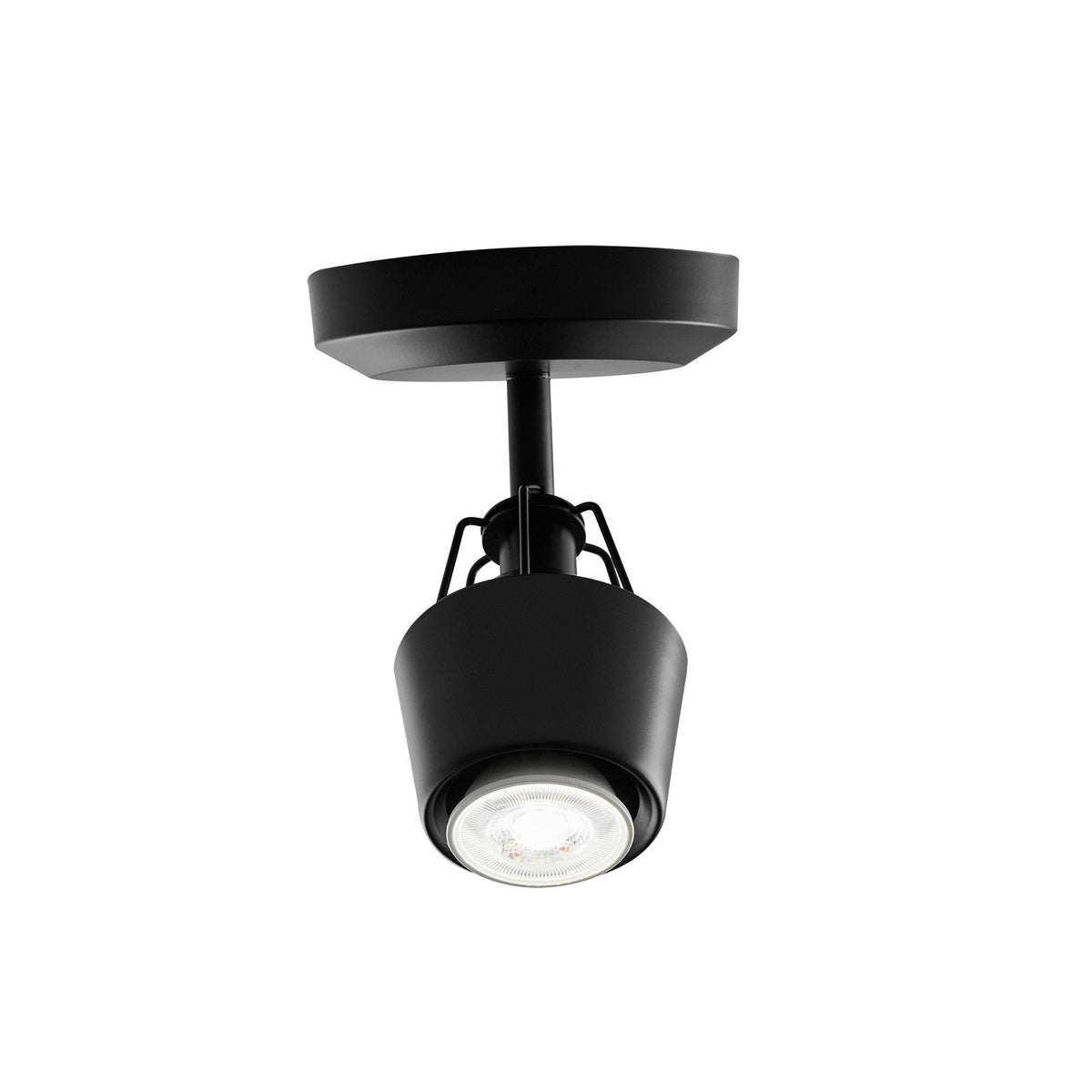 Lorca Track Lighting in 1-Light, Front View.